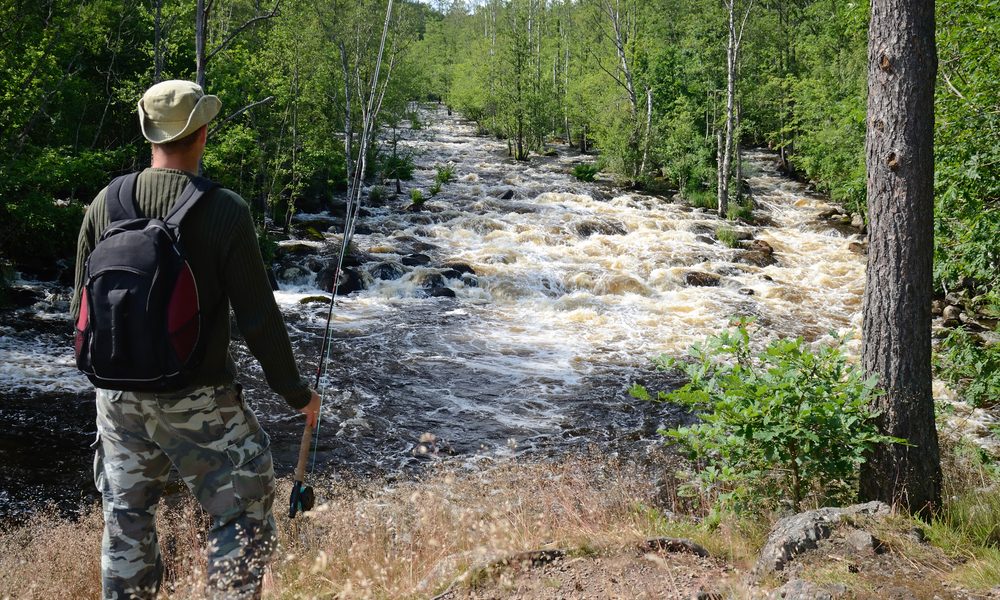 Koppla av i Mörrum med stuga nära natur och vatten Koppla av i Mörrum med stuga nära natur och vatten